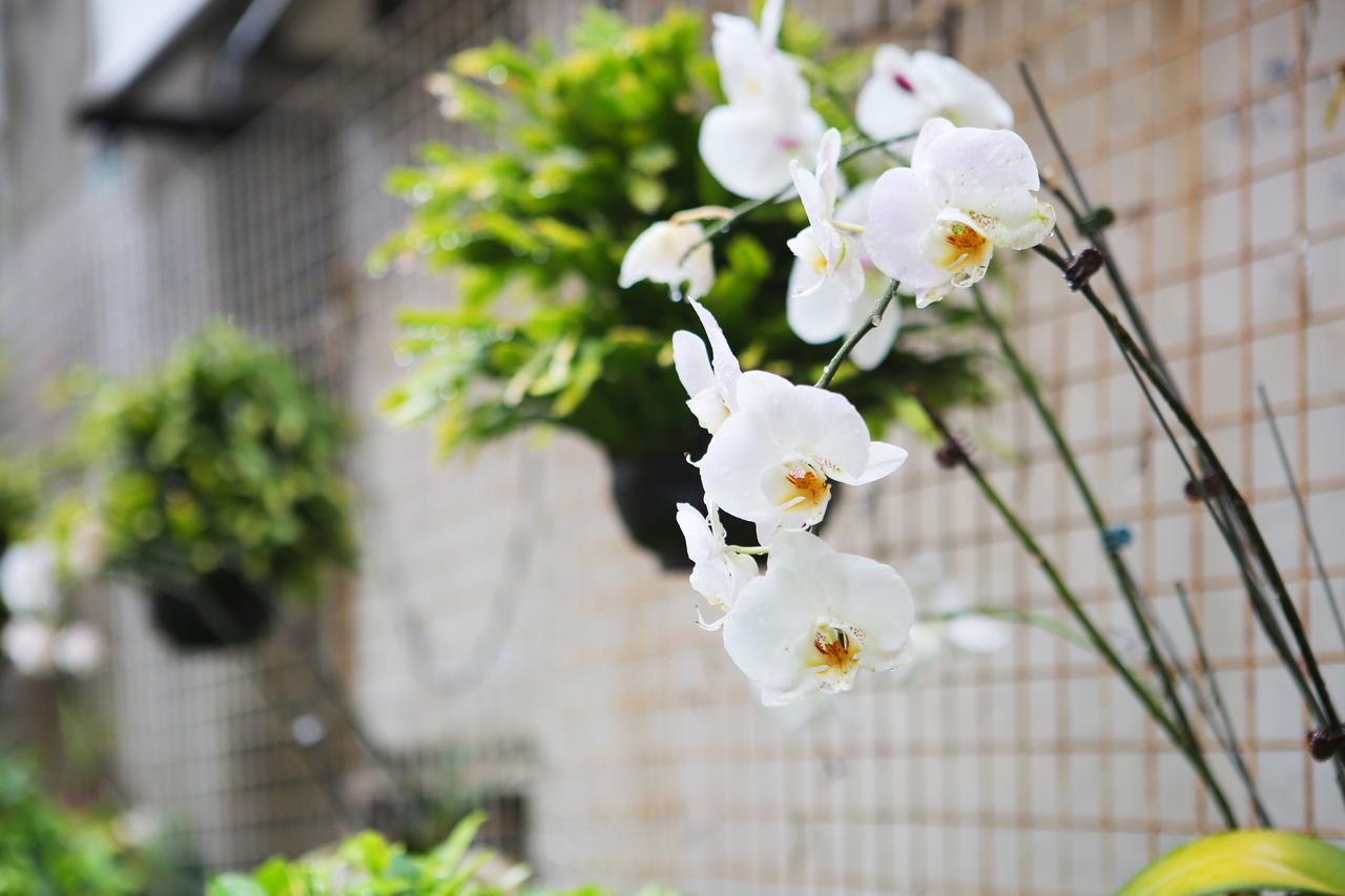 Chiayi Crown Hotel Dış mekan fotoğraf